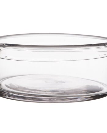 Glasskål