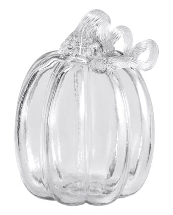 Græskar 14 Cm  Klar