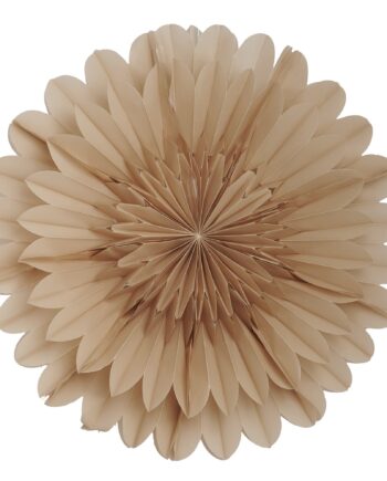 Lotus Julestjerne 60 Cm  Beige
