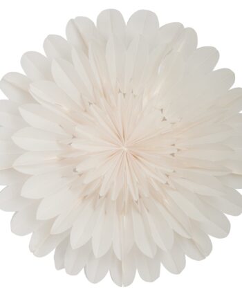 Lotus Julestjerne 60 Cm  White