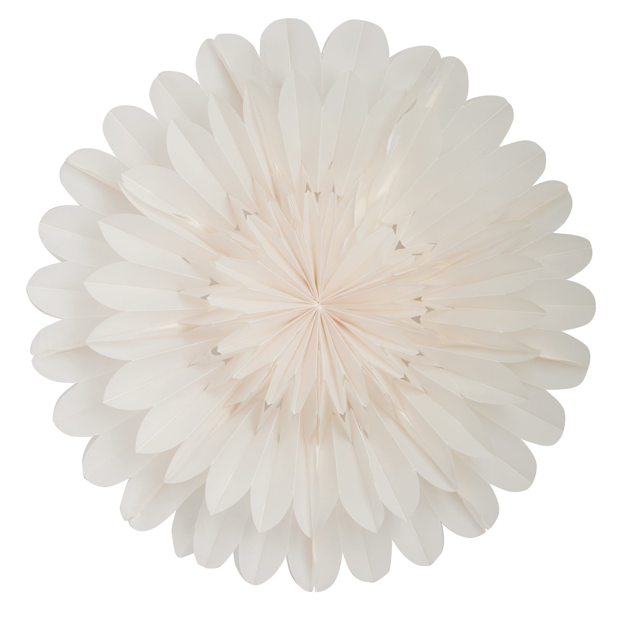 Lotus Julestjerne 60 Cm White