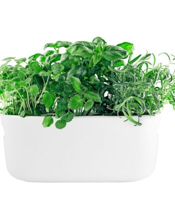 Selvvandende Herb Organiser Hvid