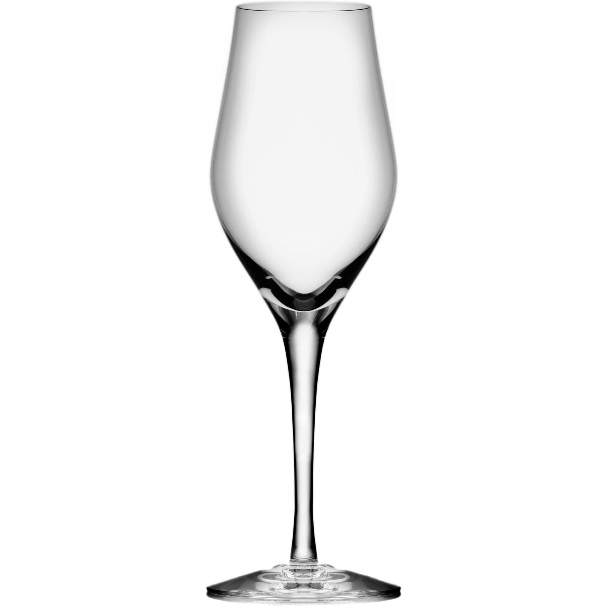 Sense Champagneglas 25 5cl -pak