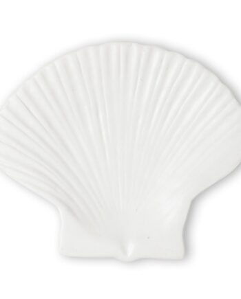 Shell Asiet Medium