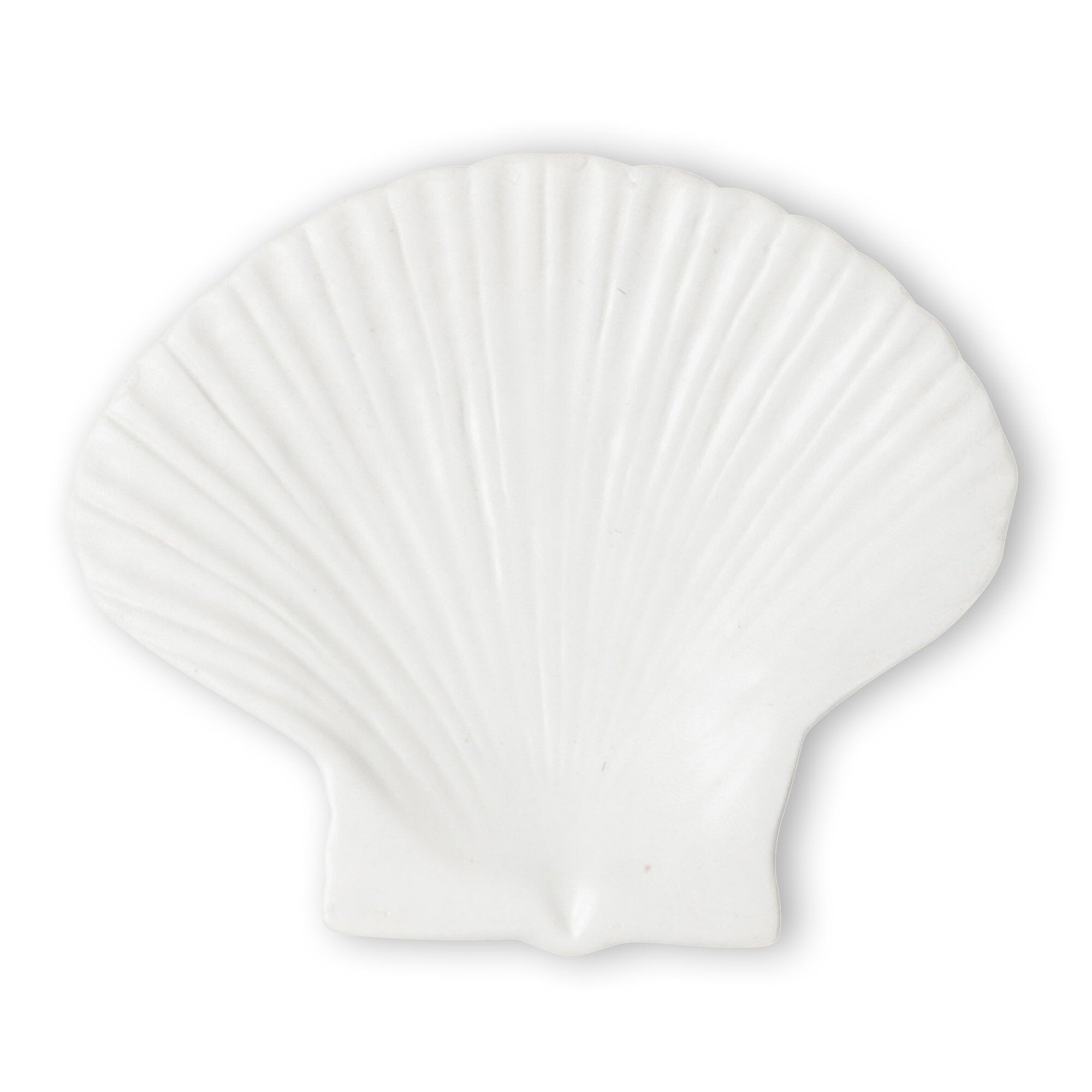 Shell Asiet Medium
