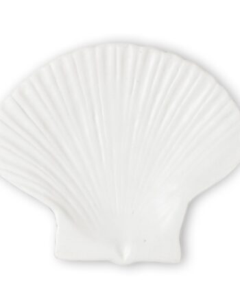 Shell Assiet Small