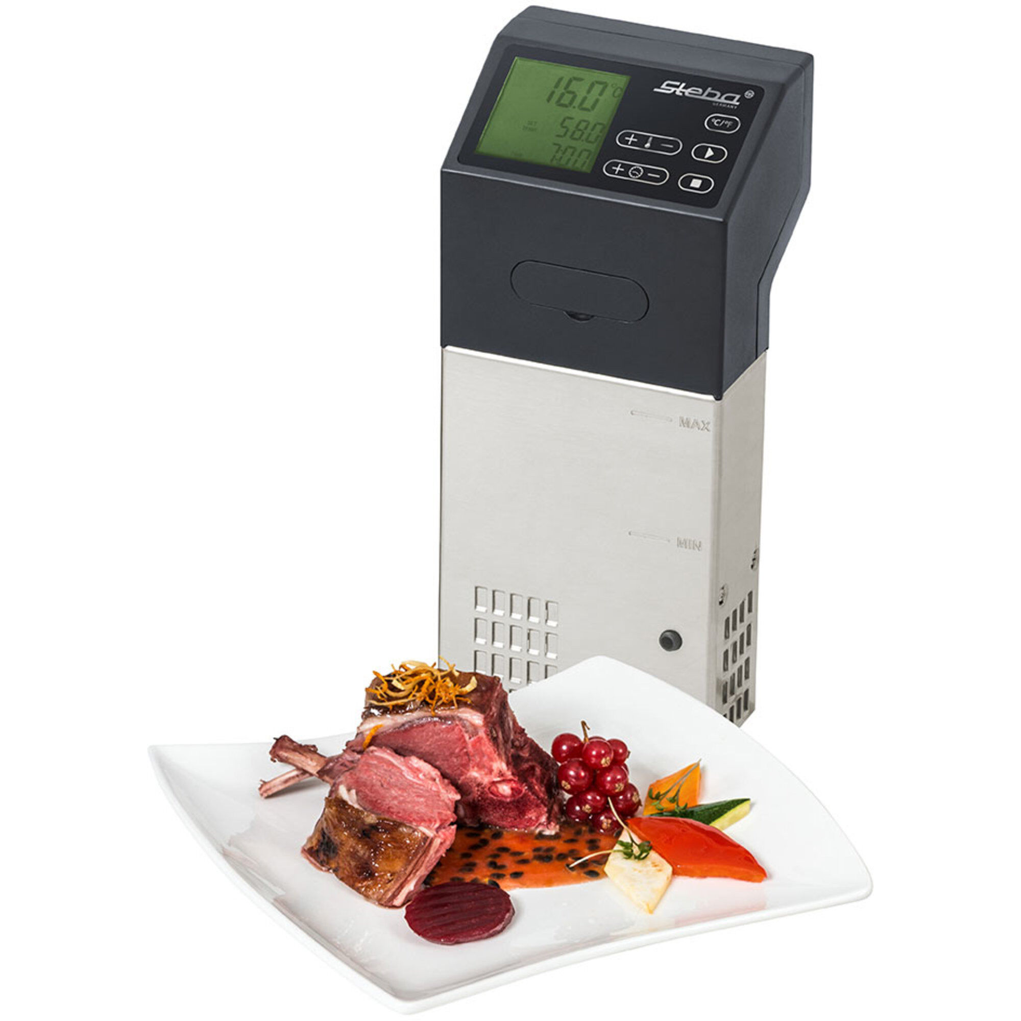 Sv100 Pro Sous Vide