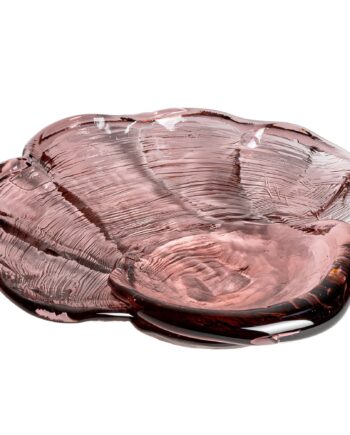 Venus Clam Fad