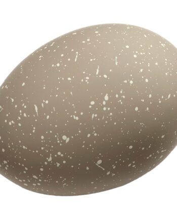 æg Deco Påskepynt  Sand
